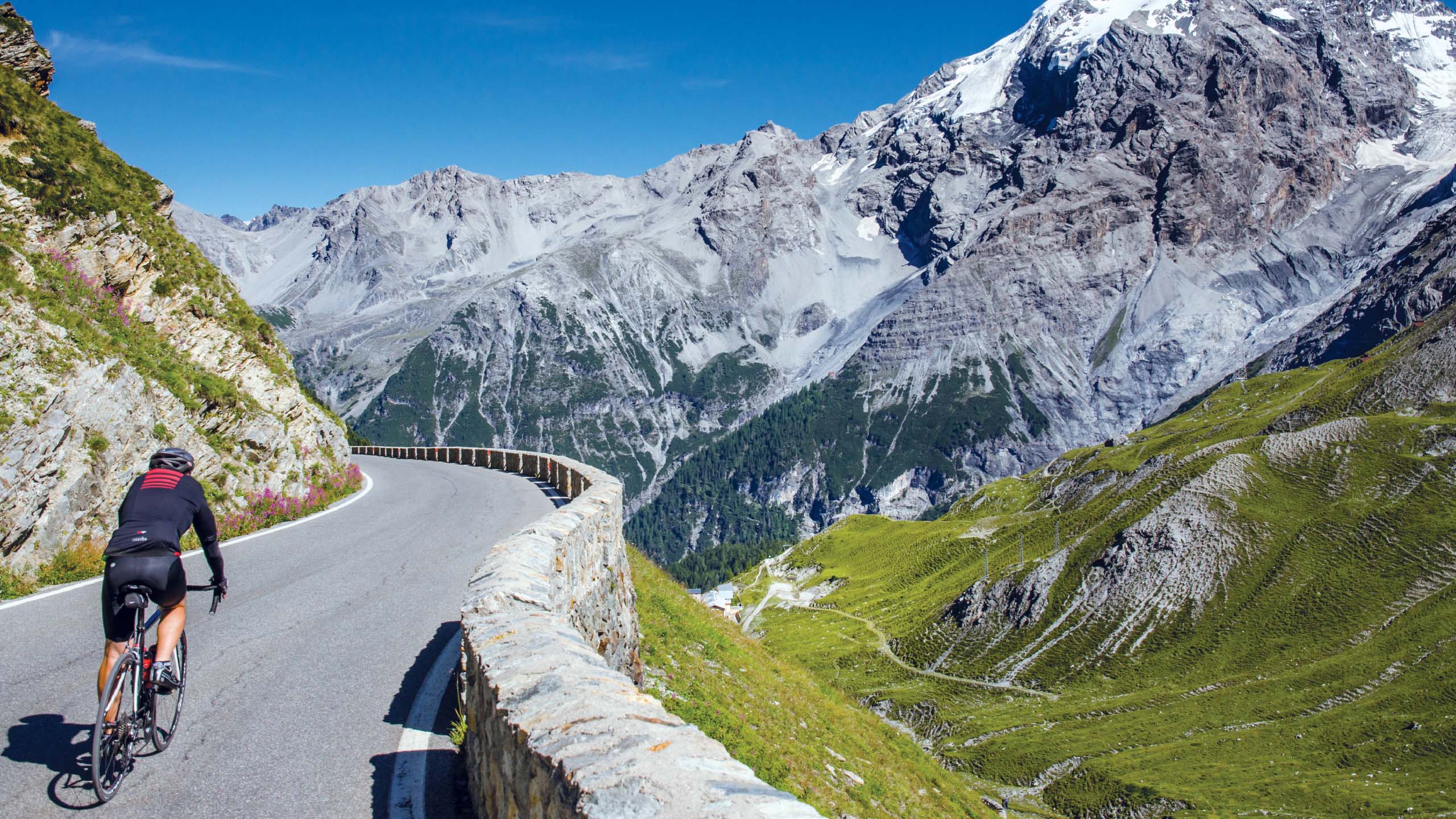 Stelvio cycling sales holiday